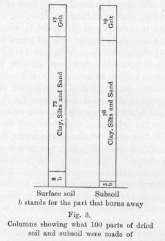Fig. 3.  Columns showing what 100 parts of dried soil and subsoil were made of