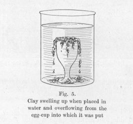 Fig. 5.  Clay swelling up when placed in water and overflowing from the egg-cup into which it was put