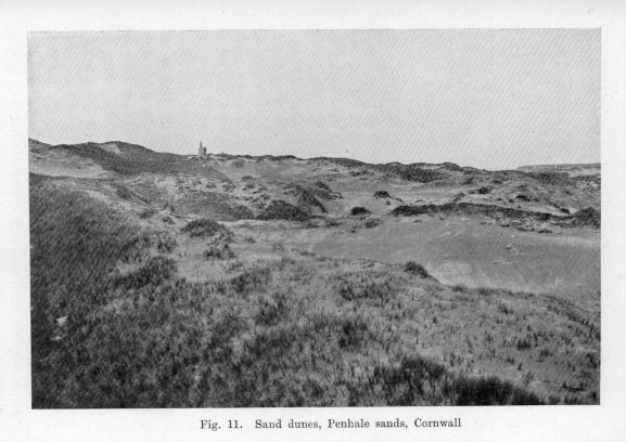 Fig. 11.  Sand dunes, Penhale sands, Cornwall