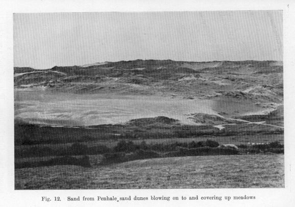 Fig. 12.  Sand from Penhale sand dunes blowing on to and covering up meadows