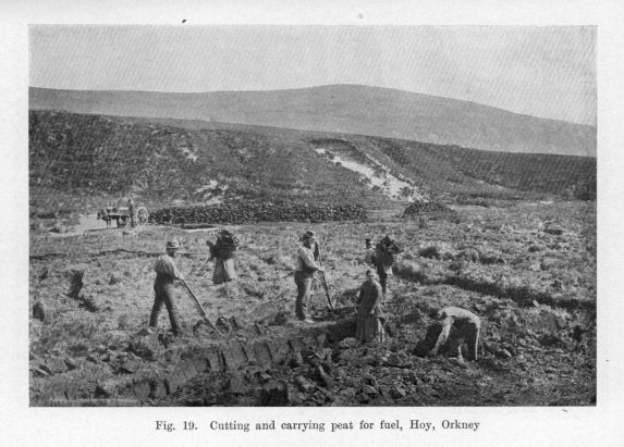 Fig. 19.  Cutting and carrying peat for fuel, Hoy, Orkney