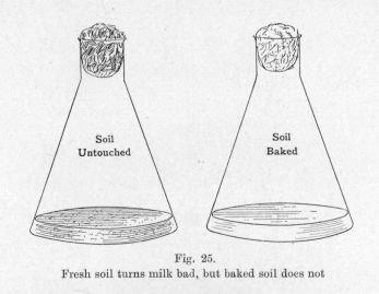 Fig. 25.  Fresh soil turns milk bad, but baked soil does not