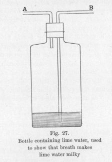 Fig. 27.  Bottle containing lime water, used to show that breath makes lime water milky