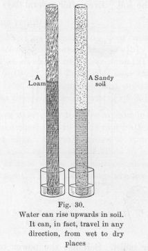 Fig. 30.  Water can rise upwards in soil.  It can, in fact, travel in any direction, from wet to dry places