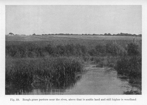 Fig. 39.  Rough grass pasture near the river, above that is arable land and still higher is woodland