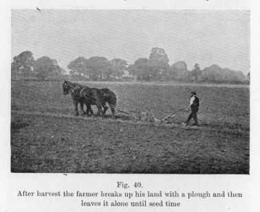 Fig. 40.  After harvest the farmer breaks up his land with a plough and then leaves it alone until seed time