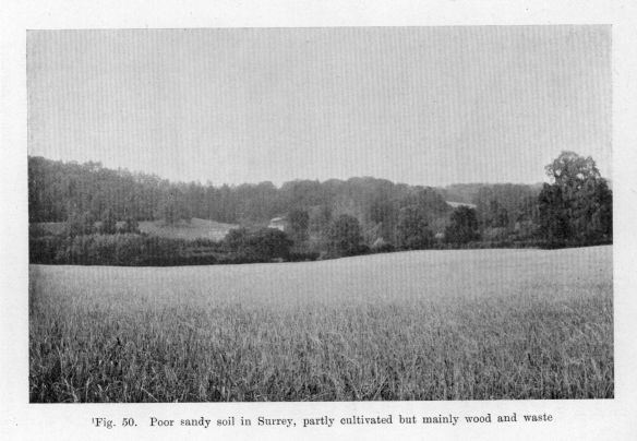 Fig. 50.  Poor sandy soil in Surrey, partly cultivated but mainly wood and waste
