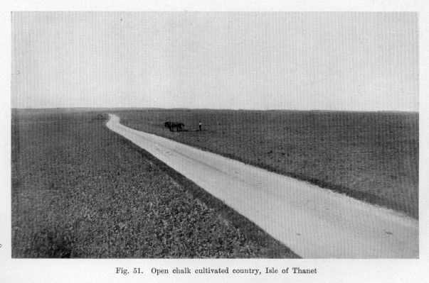 Fig. 51.  Open chalk cultivated country, Isle of Thanet