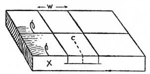 Fig. 63.—How the Timber is Marked.