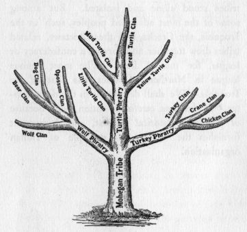 Indian Family Tree.
