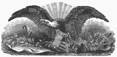 eagle eagle
