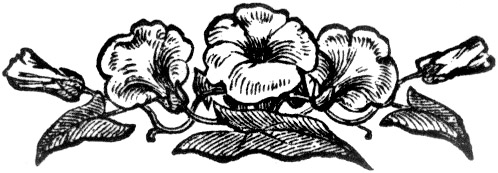 decoration for the end of page 78.