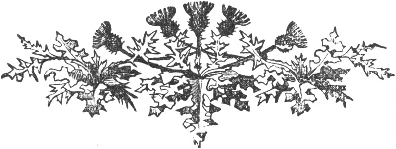 decoration for the top of page 265.