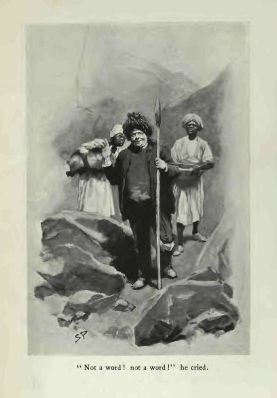 Not a Word! Not A Word! P255