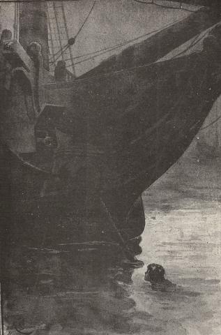 Illustration: Bob swims off to the Spanish Warship.