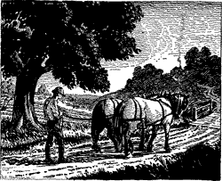 A man walking down a road behind two harnessed horses.