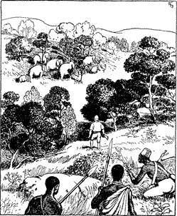 A man descending a hill, approaching a herd of elephants.
