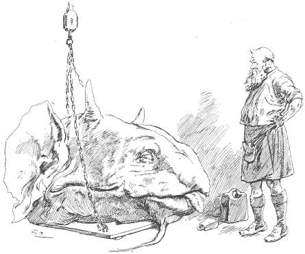 Ross weighing the beast’s head