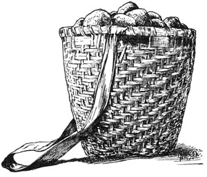 carrying basket