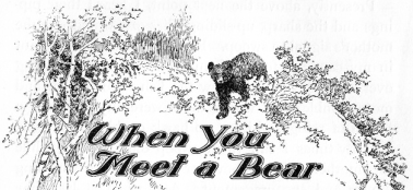 When You Meet a Bear