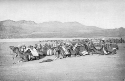 Author's Caravan and Others Halting in the Desert.