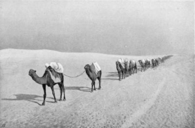 Author's Caravan in the Salt Desert.