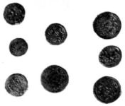 Silver Lhassa Coins