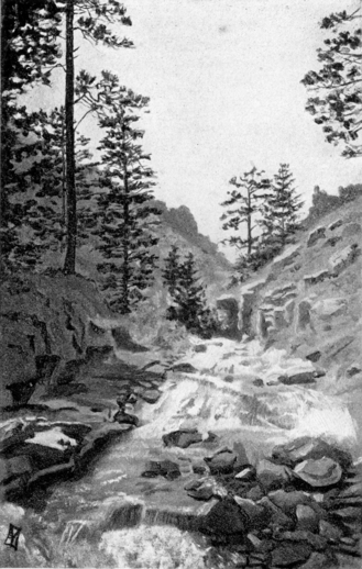 "THE BROOK, WHICH CAME DASHING DOWN FROM THE CAÑON, STILL RIOTING ON ITS WAY."
