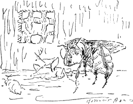 Maya in the hornet prison