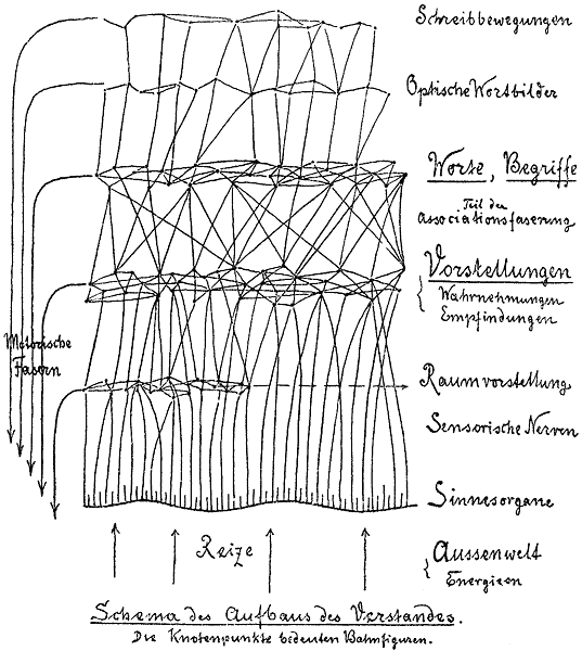 Schema des Aufbaus des Verstandes