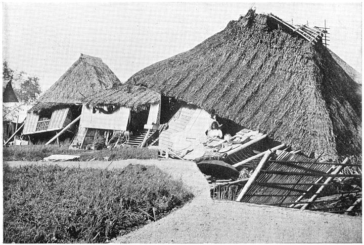 In Rizal Province (Near Manila). Effect of the Hurricane of September 26, 1905.