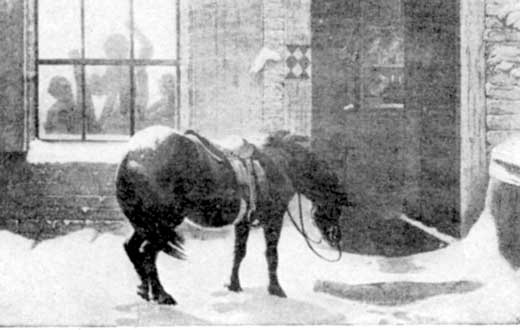 A horse, tied up and standing outside in a storm