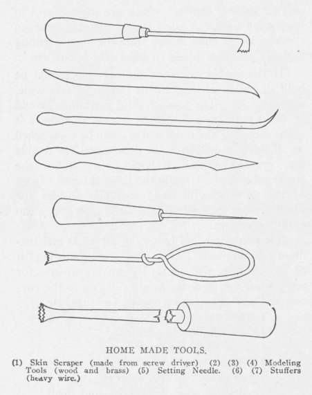 HOME MADE TOOLS. (1) Skin Scraper (made from screw driver) (2) (3) (4) Modeling Tools (wood and brass) (5) Setting Needle. (6) (7) Stuffers (heavy wire.)