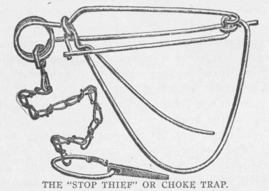 THE "STOP THIEF" OR CHOKE TRAP.