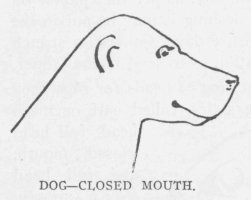 DOG—CLOSED MOUTH.