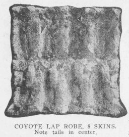 COYOTE LAP ROBE, 8 SKINS. Note tails in center.