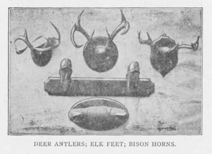 DEER ANTLERS; ELK FEET; BISON HORNS.