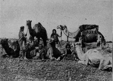 A group of Arabs with their dromedaries