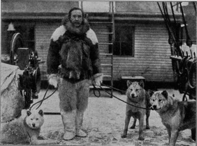 Commander Robert E. Peary and three of his Eskimo dogs on the Roosevelt