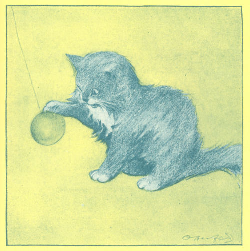 A kitten plays with a ball on a string