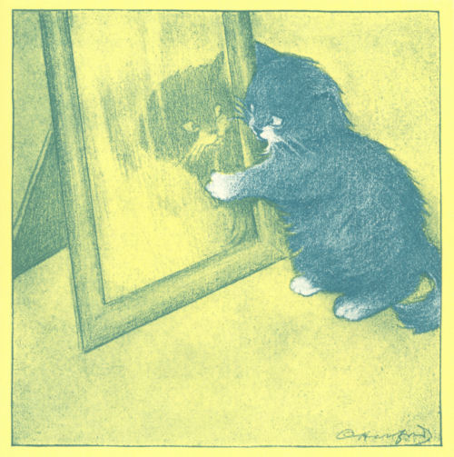 A kitten peers round the edge of a mirror at its reflection