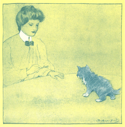 A lady offers the kitten a sprig of catnip