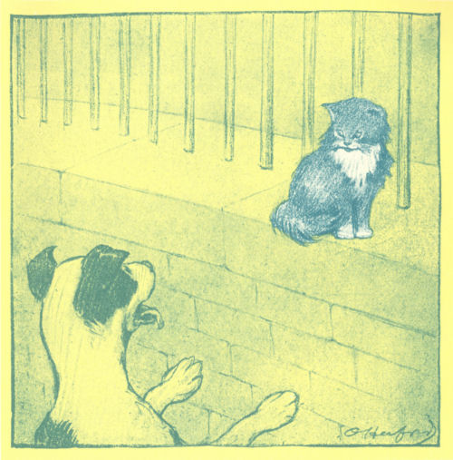 A kitten sits on a wall looking down at a dog