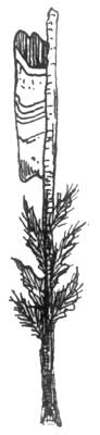 Fig. 3. Indian Grain Rattle.