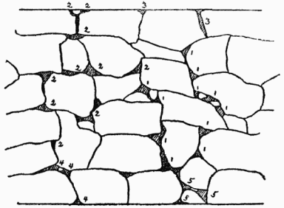Planting plan of dry wall, the dark portions representing
the chief earth-filled crevices. The plants are: 1—Arabis albida;
2—Alyssum saxatile; 3—House leek (sempervivum); 4—Viola tricolor;
5—Armeria maritima