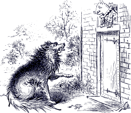 wolf at the door of the brick house