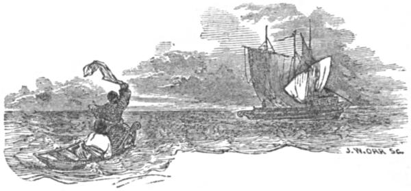 Two people in a rowing boat signal a ship in the distance
