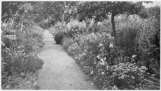 A paved path bordered by flowers
