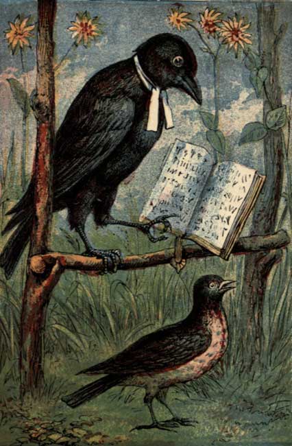 THE ROOK AND THE LARK