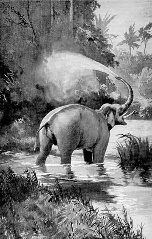 An Elephant Giving himself a Shower Bath